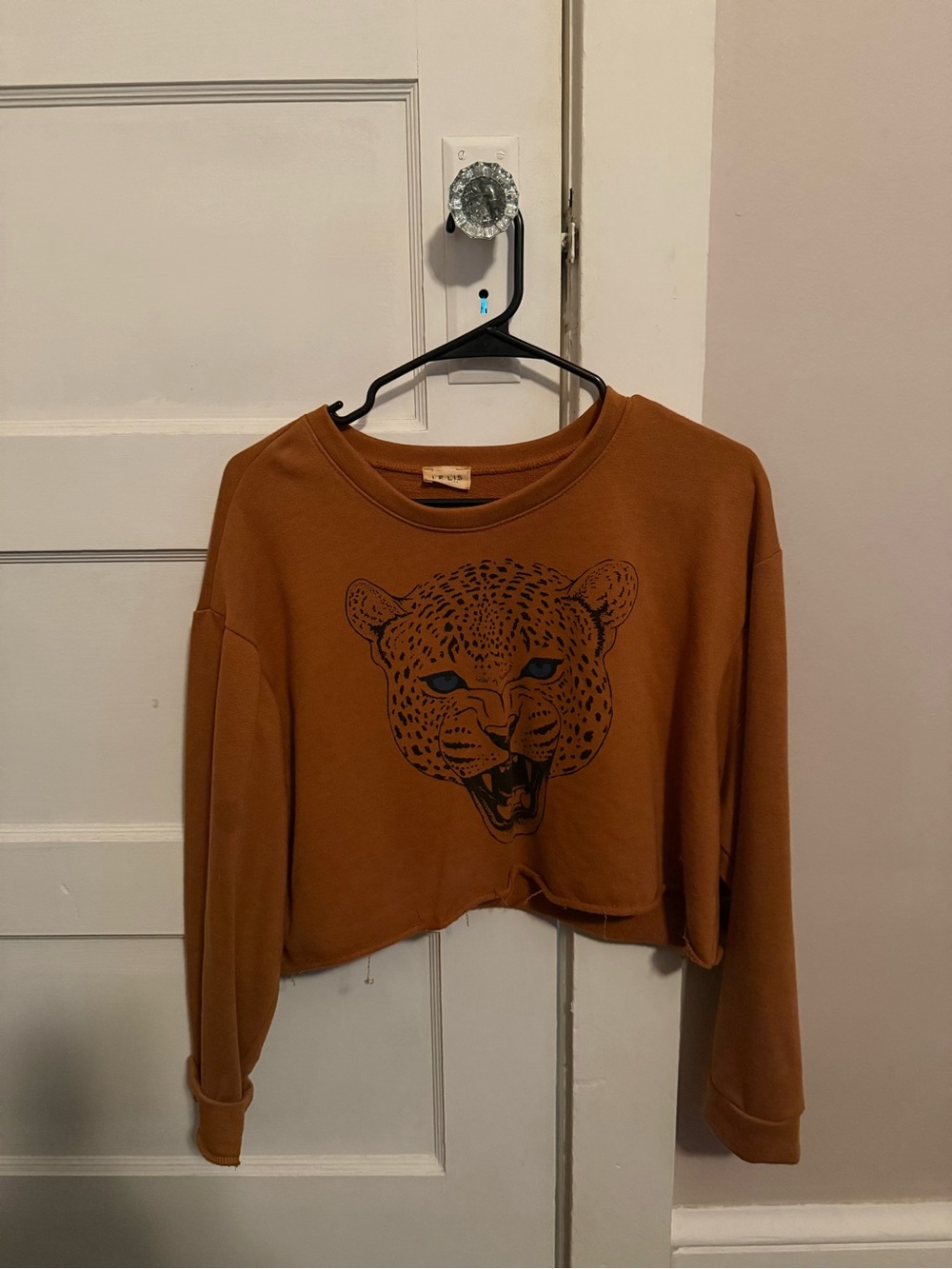 Long Sleeve Crop